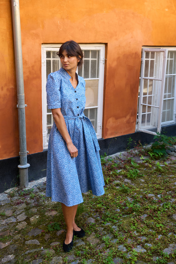 Tolsing Rie Dress / Blue Multi