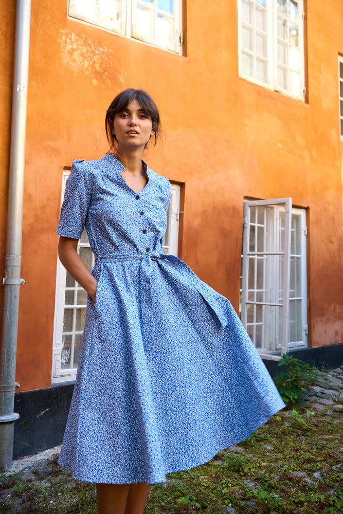 Tolsing Rie Dress / Blue Multi