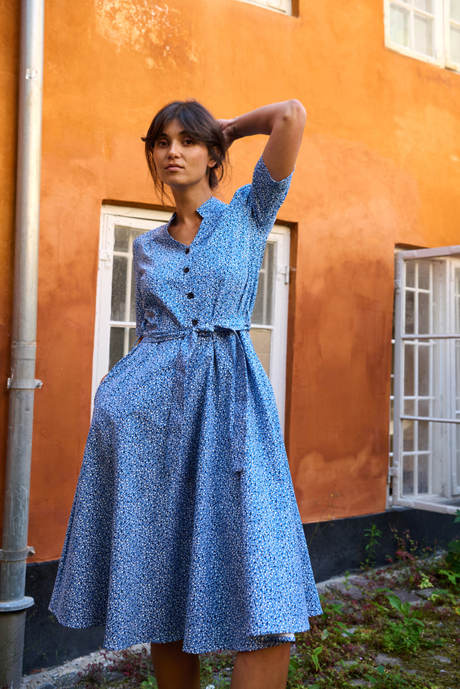 Tolsing Rie Dress / Blue Multi