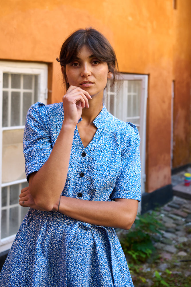 Tolsing Rie Dress / Blue Multi